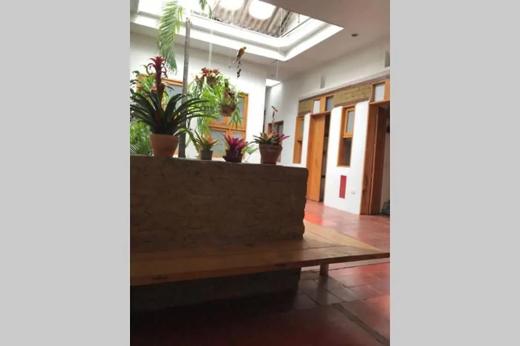 Parrot House San Antonio Apartment Cali