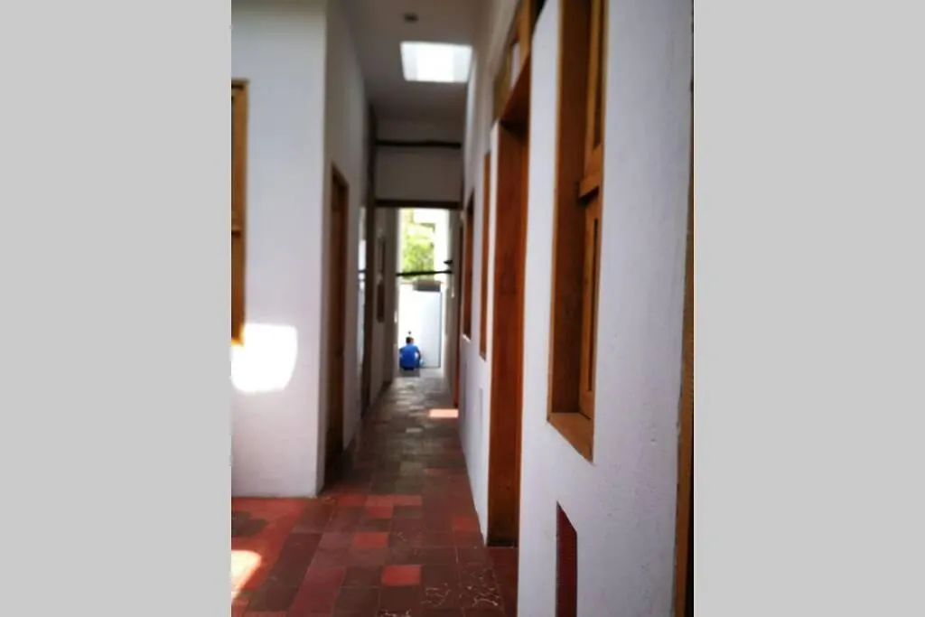 Parrot House San Antonio Apartment Cali