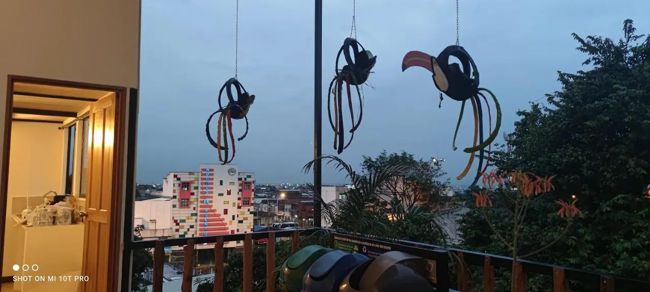 Parrot House San Antonio Apartment Cali