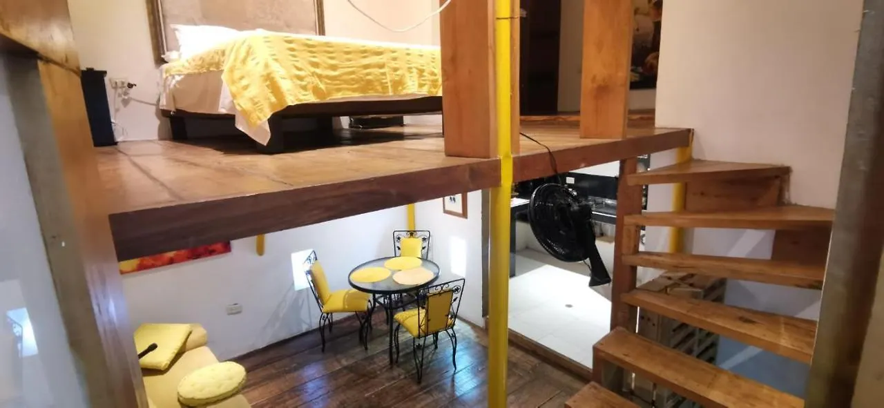 Parrot House San Antonio Apartment Cali