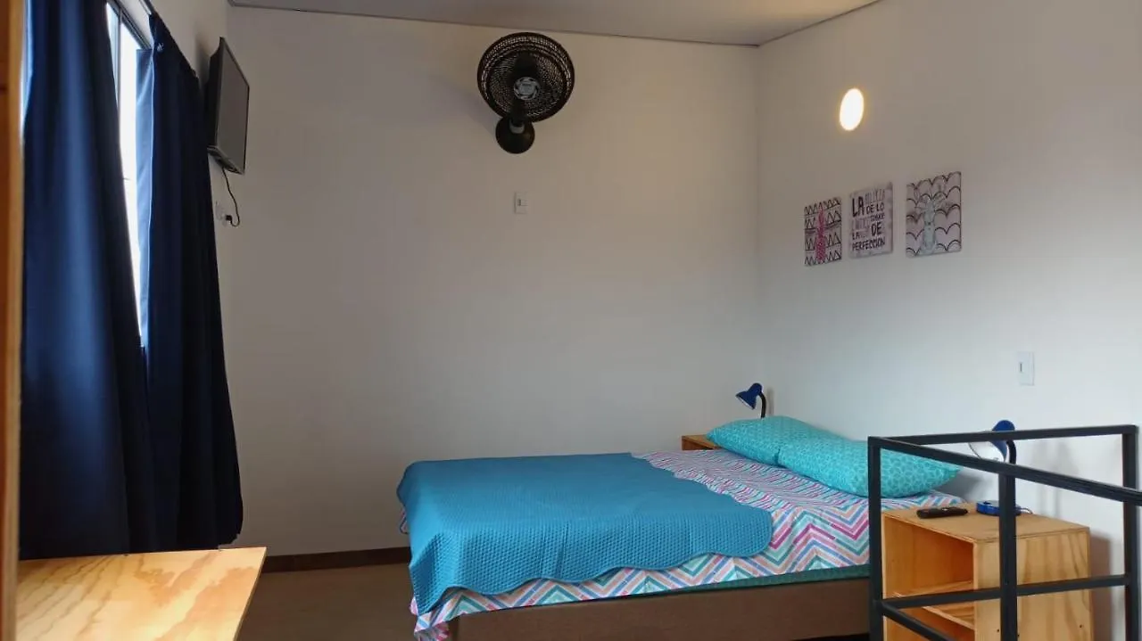 Parrot House San Antonio Apartment Cali