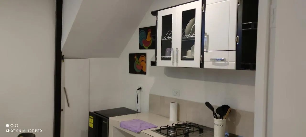 Parrot House San Antonio Apartment Cali Colombia