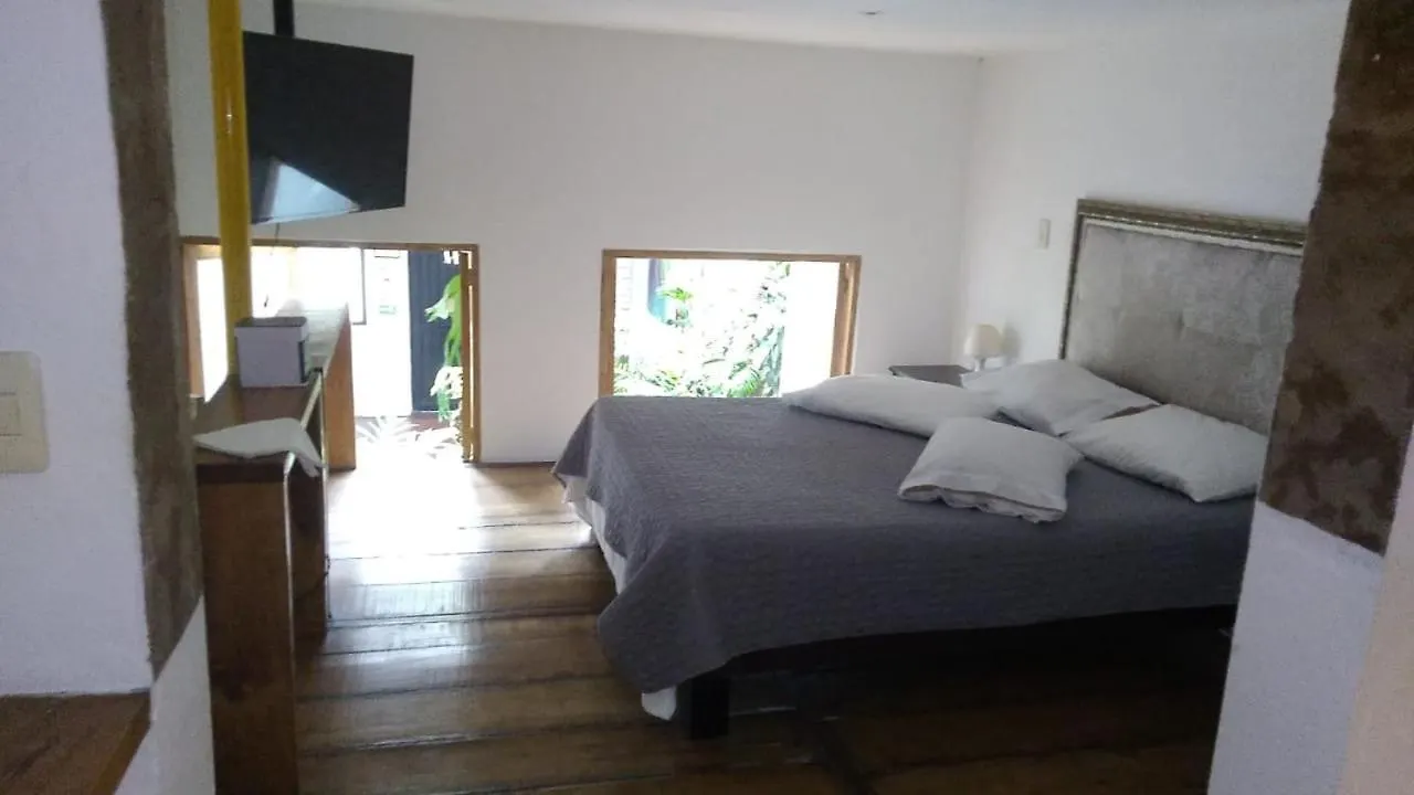 Parrot House San Antonio Apartment Cali