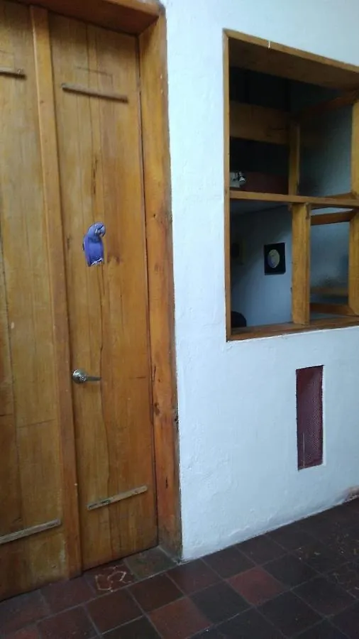 Parrot House San Antonio Apartment Cali Colombia