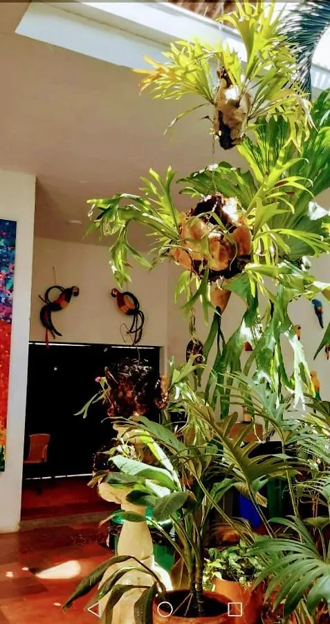 Parrot House San Antonio Apartment Cali 0*,