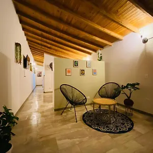 Subotanico Poblado, , Medellín Colombia