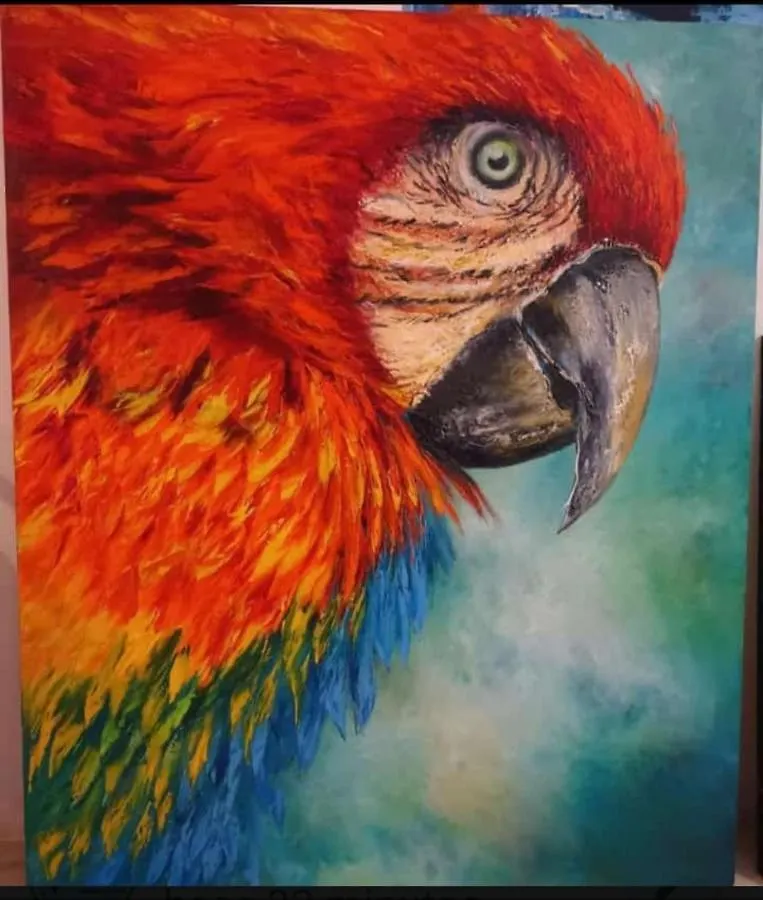 Appartamento Parrot House San Antonio Cali
